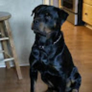 Meet your Posher, Olga